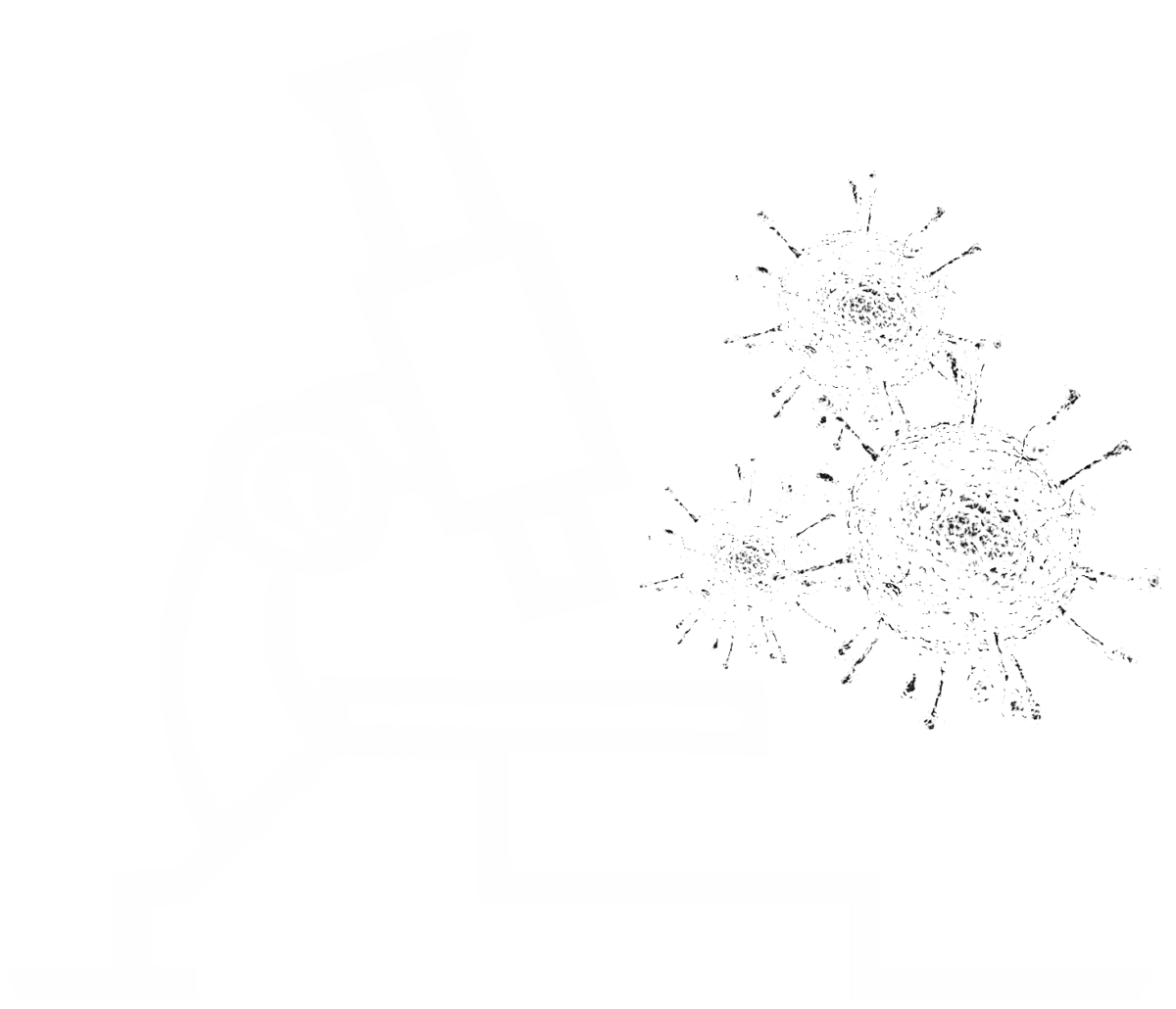 best-medical-lab-in-lahore